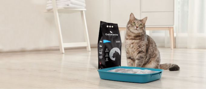 Catmaniaの猫砂と猫